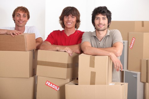 Professional team handling items for Man and Van service